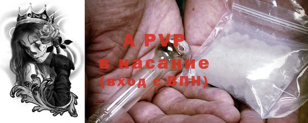 винт Болотное