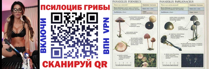 купить  цена  Весьегонск  мега рабочий сайт  Псилоцибиновые грибы прущие грибы 